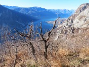 Monte San Martino (1080 m) ad anello da Rancio (Lecco)– 16dic24 -  FOTOGALLERY